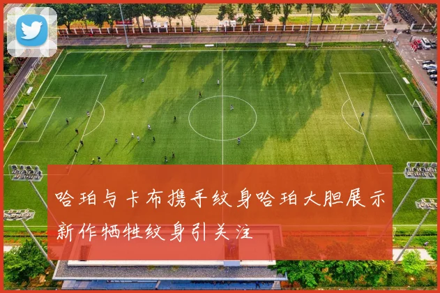 哈珀与卡布携手纹身哈珀大胆展示新作牺牲纹身引关注